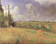 Camille Pissarro Rye Fields at Pontoise painting
